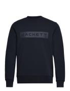 Essential Sp Crew Tops Sweat-shirts & Hoodies Sweat-shirts Navy Hacket...