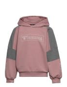 Hmlboxline Hoodie Sport Sweat-shirts & Hoodies Hoodies Hummel