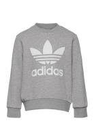 Trefoil Crew Sweatshirt Tops Sweat-shirts & Hoodies Sweat-shirts Grey ...