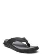 Mens Sargo Sandal - Sunview Flip Flops Sandaler Black Skechers