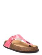 Scholl Sl Anais 24 Pu Leather Rosa