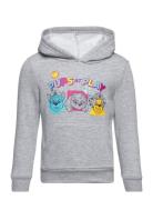 Paw Patrol Sweat Kangourou Grå