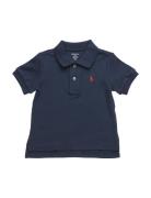 Soft Cotton Polo Shirt Tops T-shirts Short-sleeved Blue Ralph Lauren B...