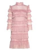 Carmine Frill Mini Lace Dress Designers Short Dress Pink Malina
