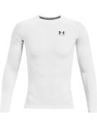 Under Armour Ua Hg Armour Comp Ls Vit