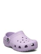 Classic Clog T Shoes Clogs Purple Crocs
