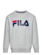 FILA Babina Greda Classic Logo Crew Sweat Grå