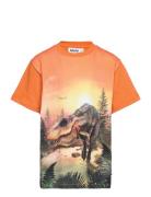 Riley Tops T-shirts Short-sleeved Orange Molo