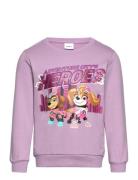 Nmfoditte Pawpatrol Sweat Bru Cplg Tops Sweat-shirts & Hoodies Sweat-s...