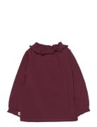 Cozy Me Frill Collar L/S T Baby Tops T-shirts Long-sleeved T-shirts Pu...