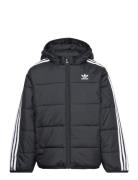 Padded Jacket Fodrad Jacka Black Adidas Originals