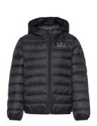 Down Jacket Fodrad Jacka Black EA7