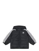 Padded Jacket Fodrad Jacka Black Adidas Originals