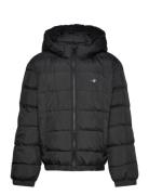 Shield Padded Jacket Fodrad Jacka Black GANT