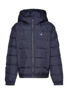 Shield Padded Jacket Fodrad Jacka Navy GANT