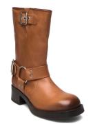 Steve Madden Blessing Boot Brun