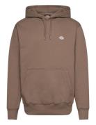 Dickies Summerdale Hoodie Brun