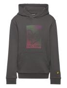 Lyle & Scott Dotted Eagle Graphic Hoodie Grå