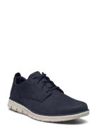 Brad Lace Up Shoe Navy Låga Sneakers Blue Timberland