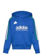 Adidas Sportswear J Np Hoodie Blå