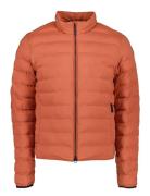 Didriksons Arvid Usx Jkt Orange