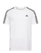 Adidas Sportswear Essentials Single Jersey 3-Stripes T-Shirt Vit