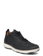 U Nebula A Låga Sneakers Black GEOX