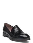 Robin Loafers Låga Skor Black Wonders