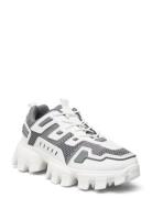 Prize-K Sneaker Låga Sneakers Grey Steve Madden