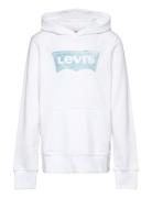 Levi's Lvb Palm Batwing Fill Hoodie / Lvb Palm Batwing Fill Hoodie Vit