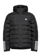 Itavic 3S Midweight Hooded Jacket Fodrad Jacka Black Adidas Sportswear