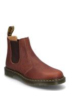 2976 Cashew Ambassador Stövletter Chelsea Boot Brown Dr. Martens