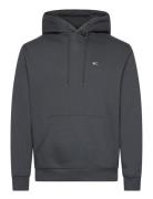 Tommy Jeans Tjm Reg S Flag Hoodie Ext Grå