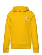 Calvin Klein Small Monogram Hoodie Gul