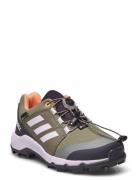 Terrex Gtx K Låga Sneakers Green Adidas Terrex