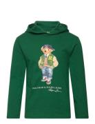 Polo Bear Cotton Jersey Hooded Tee Tops Sweat-shirts & Hoodies Hoodies...