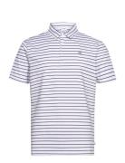 Calvin Klein Golf Silverst Polo Vit