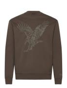 Armani Exchange Sweatshirt Brun