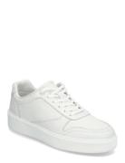 Low Top Lace Up Bskt Lth Låga Sneakers White Calvin Klein