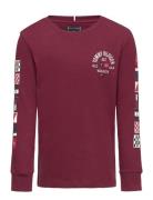 Tommy Hilfiger Flags Embroidered Reg Tee Ls Burgundy