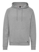 Fashion Sweatshirt H Tops Sweat-shirts & Hoodies Hoodies Grey BOSS