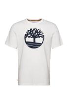 Timberland Tree Logo Short Sleeve Tee Vit