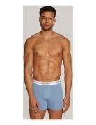 Calvin Klein Boxer Brief 3Pk Grå