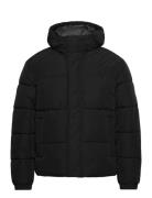 Jjebradley Puffer Hood Sn Fodrad Jacka Black Jack & J S