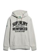 Superdry Embroider Script Graphic Hood Grå