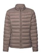 Tepic Jr. Pro-Lite Jacket Fodrad Jacka Brown Whistler