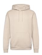 Hollister Hco. Guys Sweatshirts Kräm