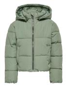 Kids Only Kmgdolly Short Puffer Jacket Otw Grön