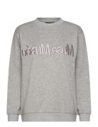 Cmeva-Sweatshirt Tops Sweat-shirts & Hoodies Sweat-shirts Grey Copenha...