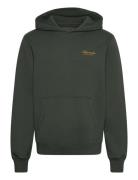 Abercrombie & Fitch Anf Mens Sweatshirts Grön